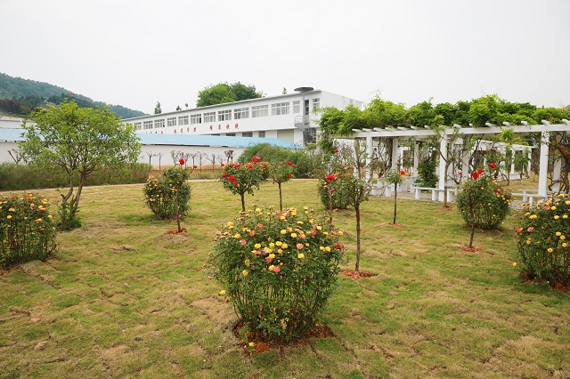 湖東院區——誰(shuí)言造物無(wú)偏處 獨遣春光住此中